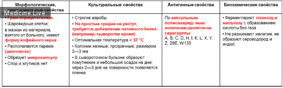 менингококк