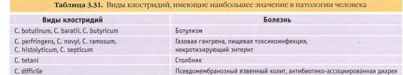 клостридии клостридии