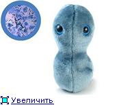 гонококк
