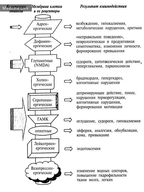 Внутренние болезни: Комы при интоксикациях