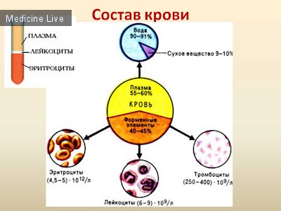 Гистология, эмбриология, цитология: Гистология, ч5 - Кровь