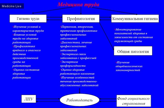 Профессиональные заболевания: Введение в профпатологию