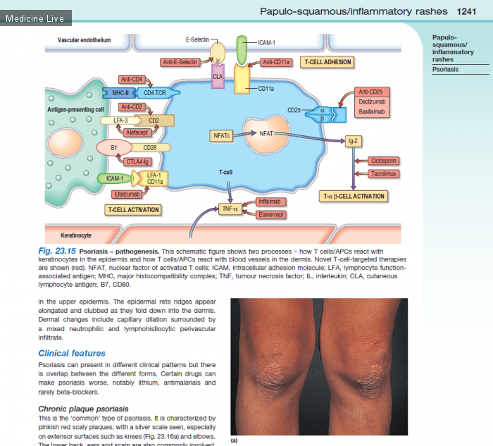 Внутренние болезни: Clinecal medicine, Kumar